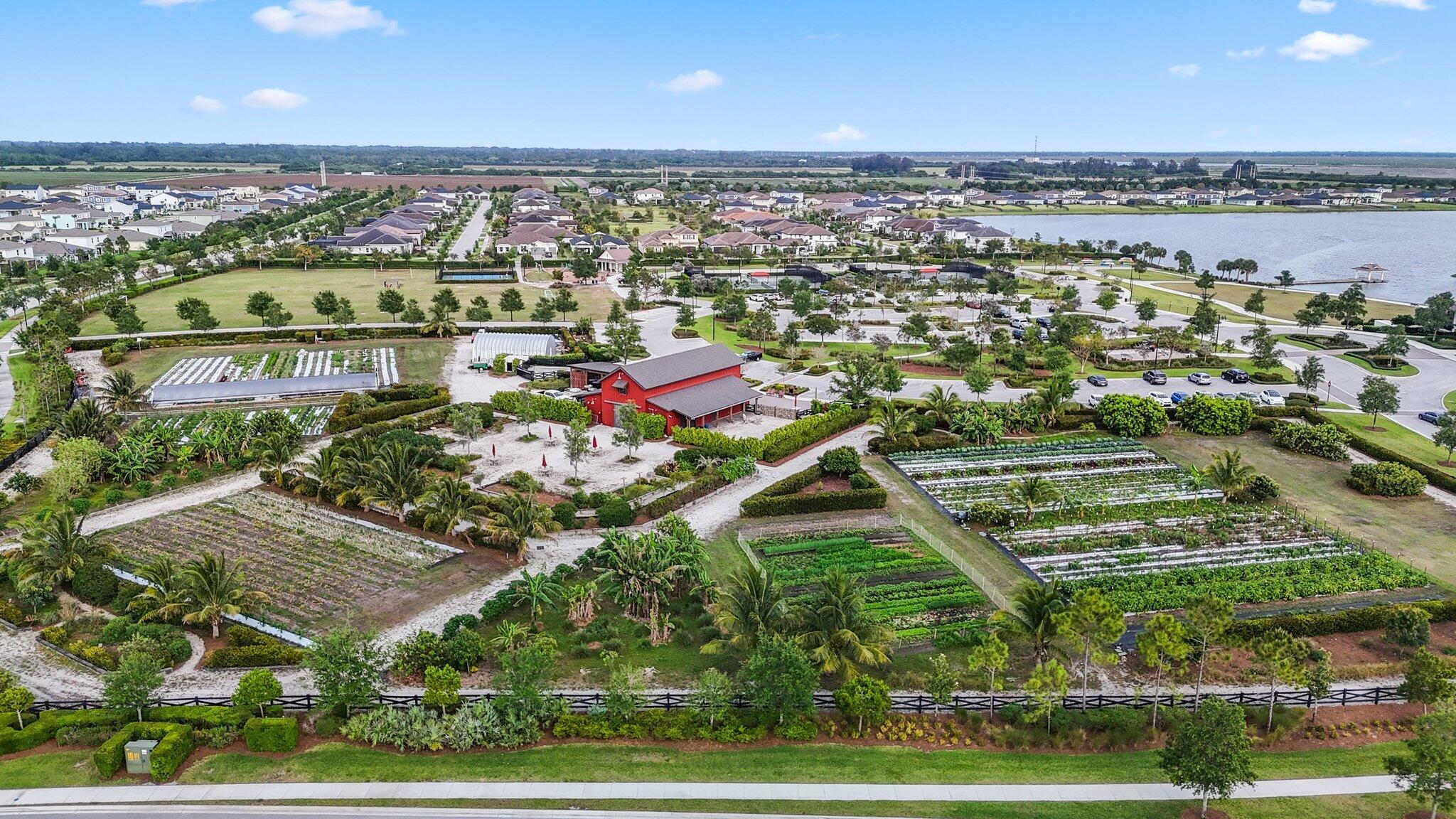 19572 Wheelbarrow Bend