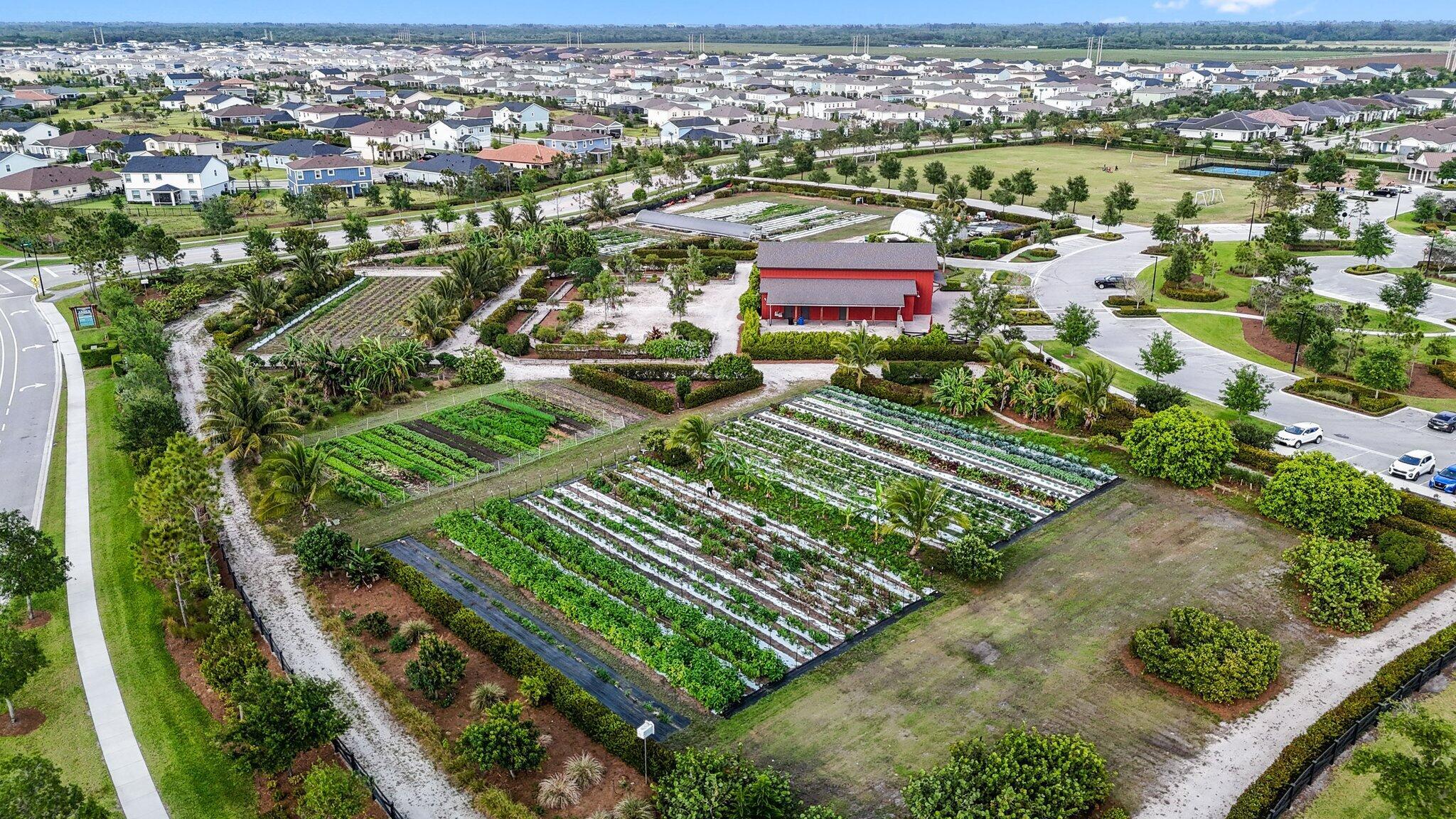 19572 Wheelbarrow Bend