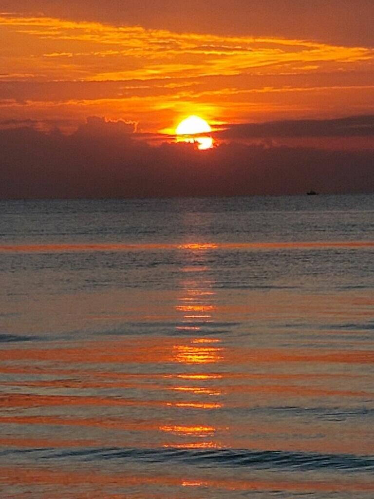 2871 N N Ocean Blvd M226