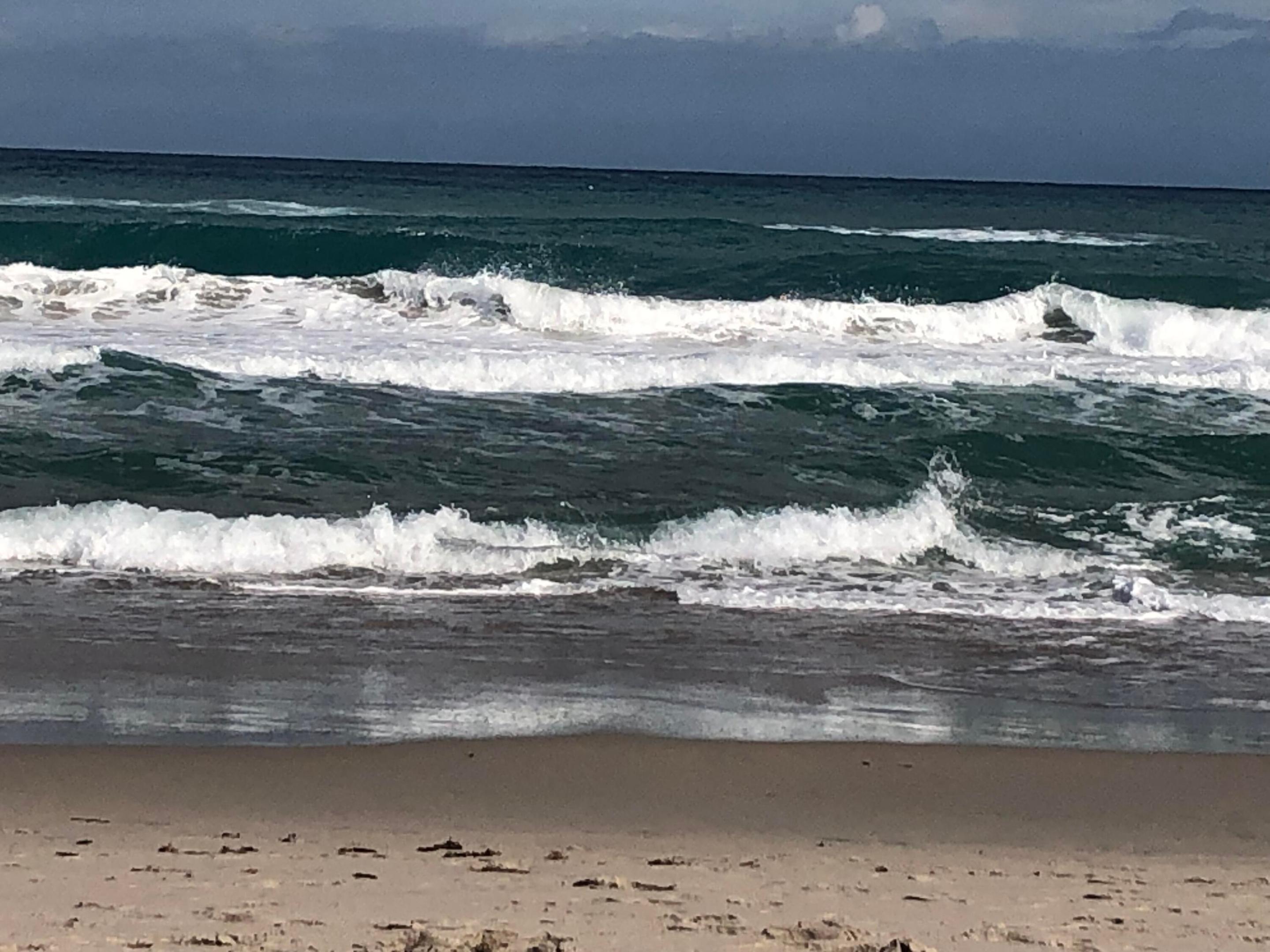 2871 N N Ocean Blvd M226