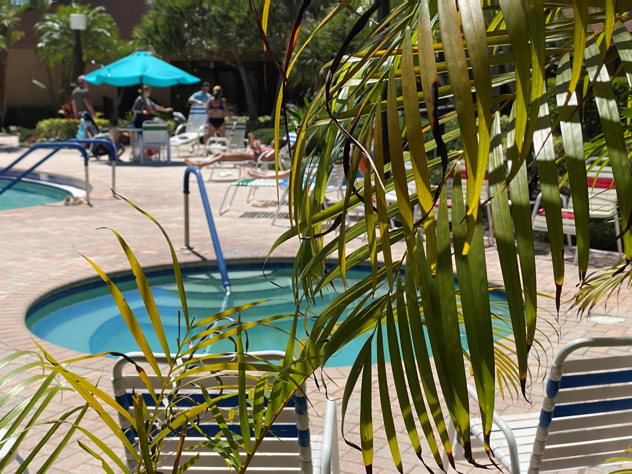 450 Egret Circle 9205