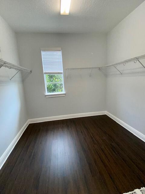 81 Via Poinciana Street