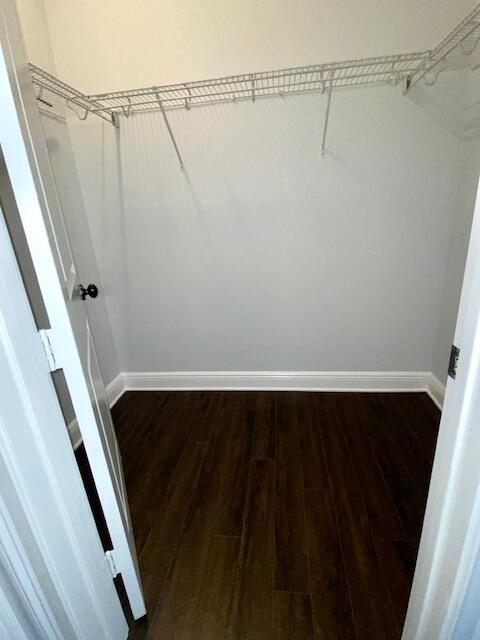 81 Via Poinciana Street