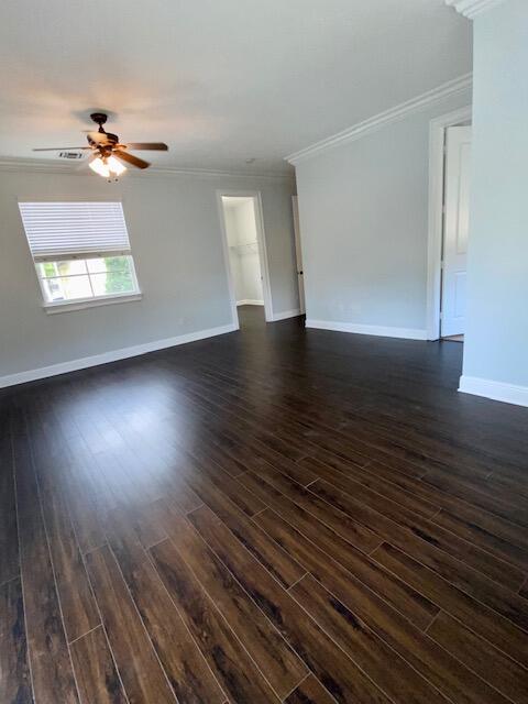 81 Via Poinciana Street