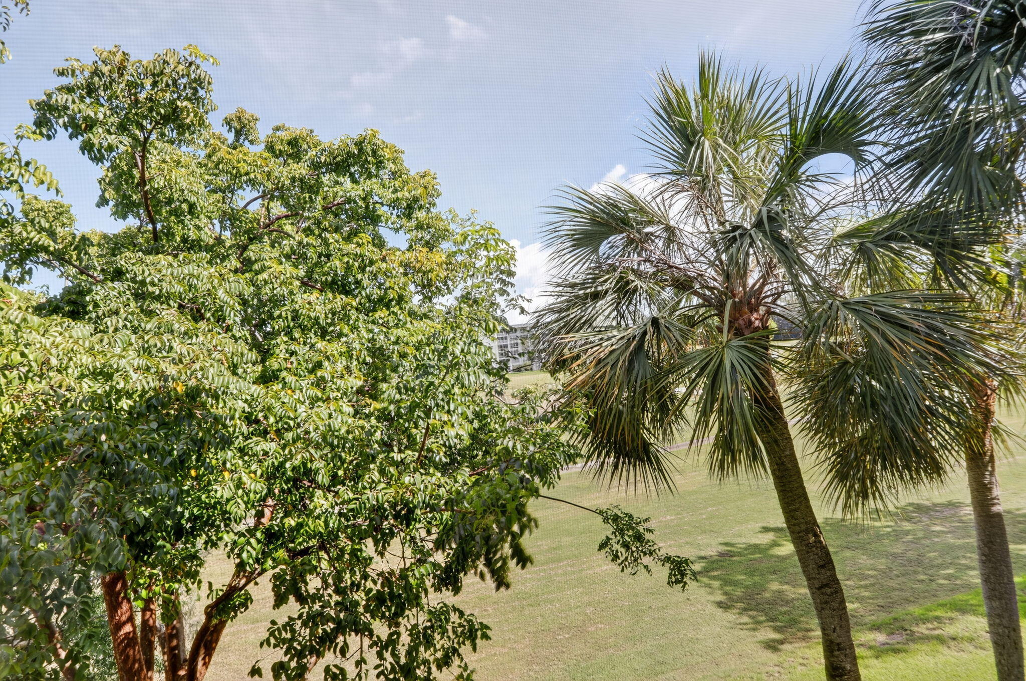 2651 S Palm Aire Drive S 305