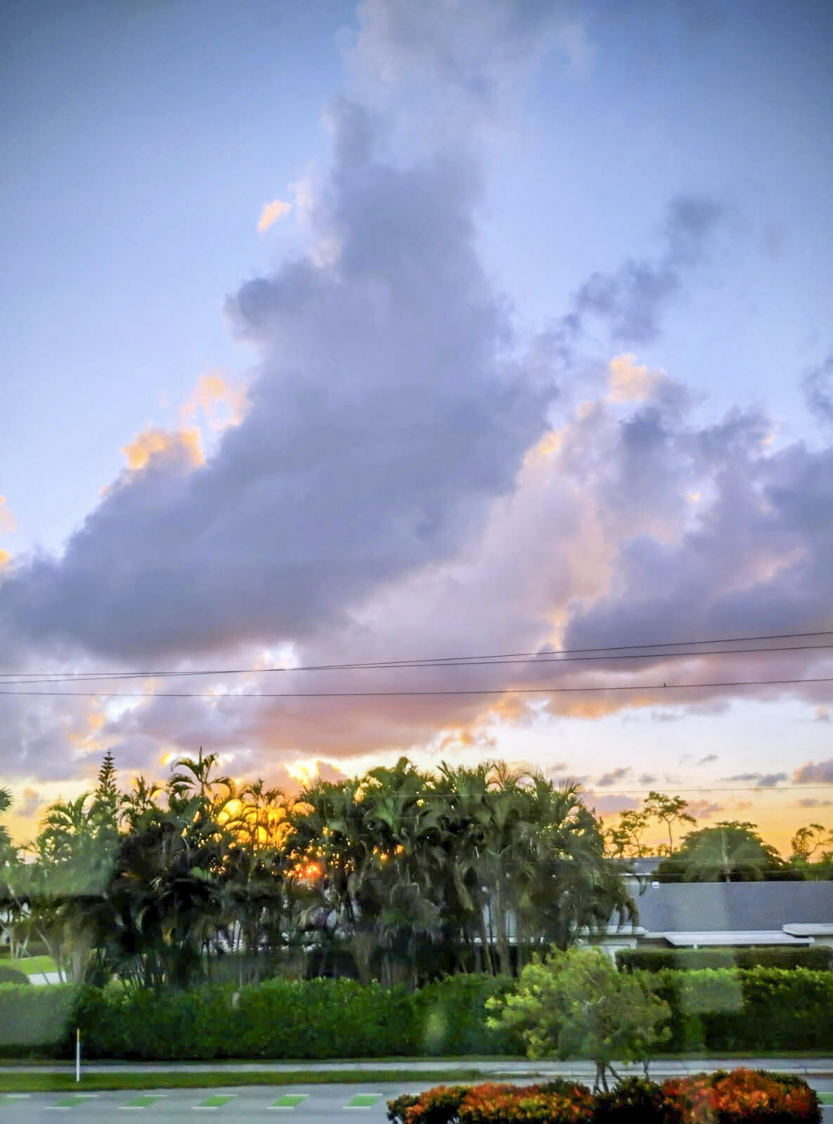 1151 Calamondin Terrace 204