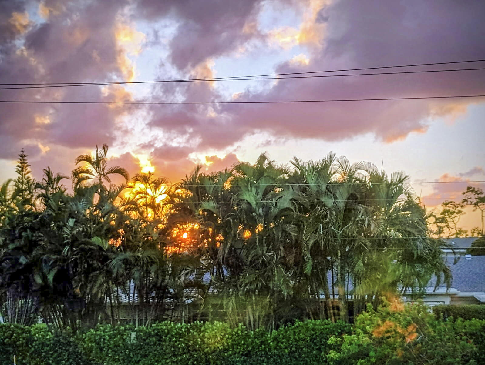 1151 Calamondin Terrace 204