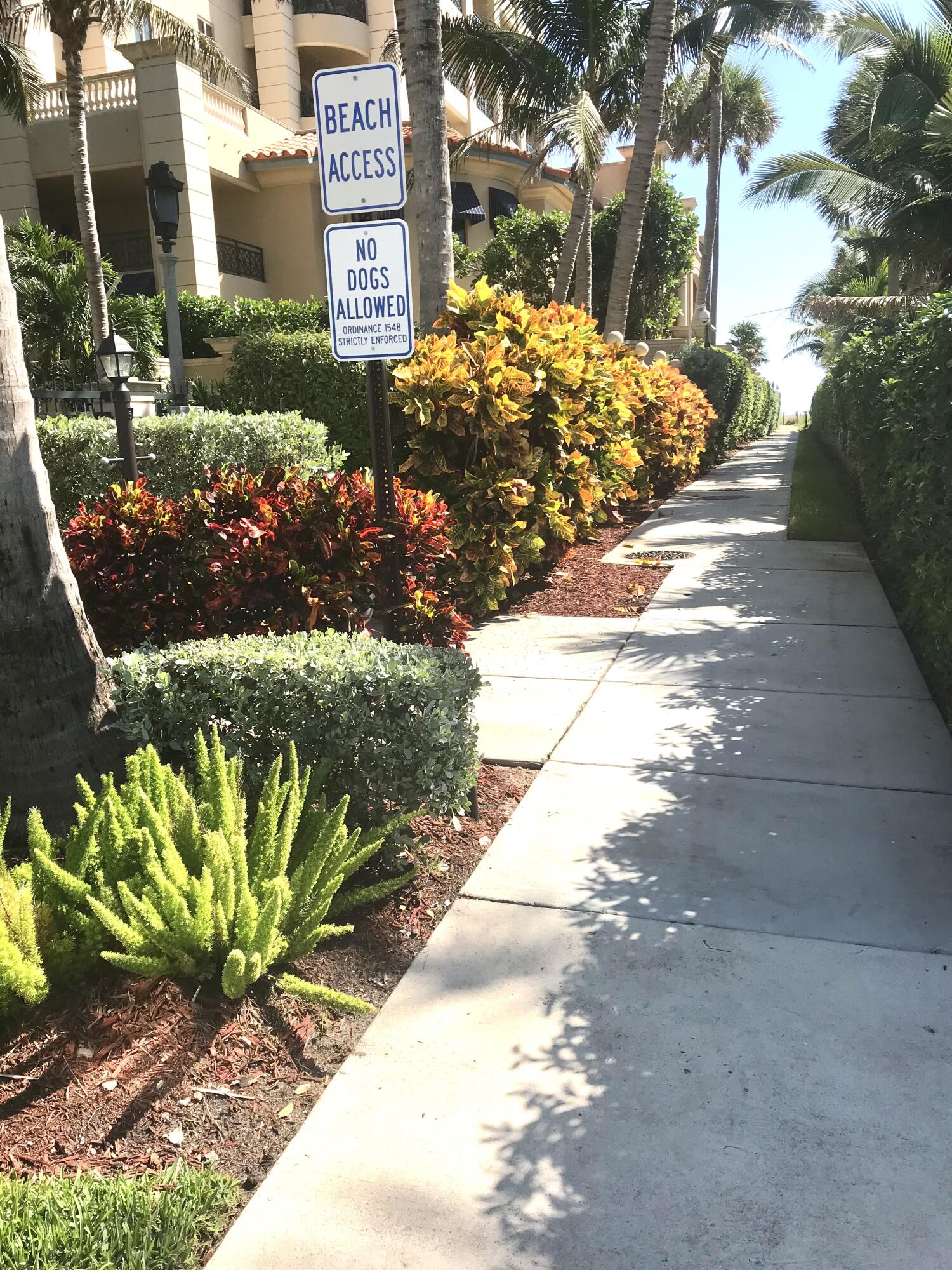 930 Osceola Drive 8