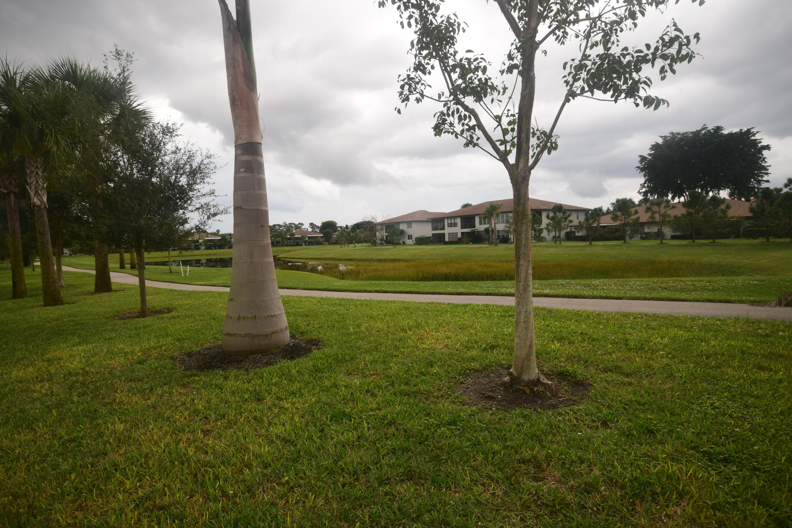 5700 Queen Palm Court A