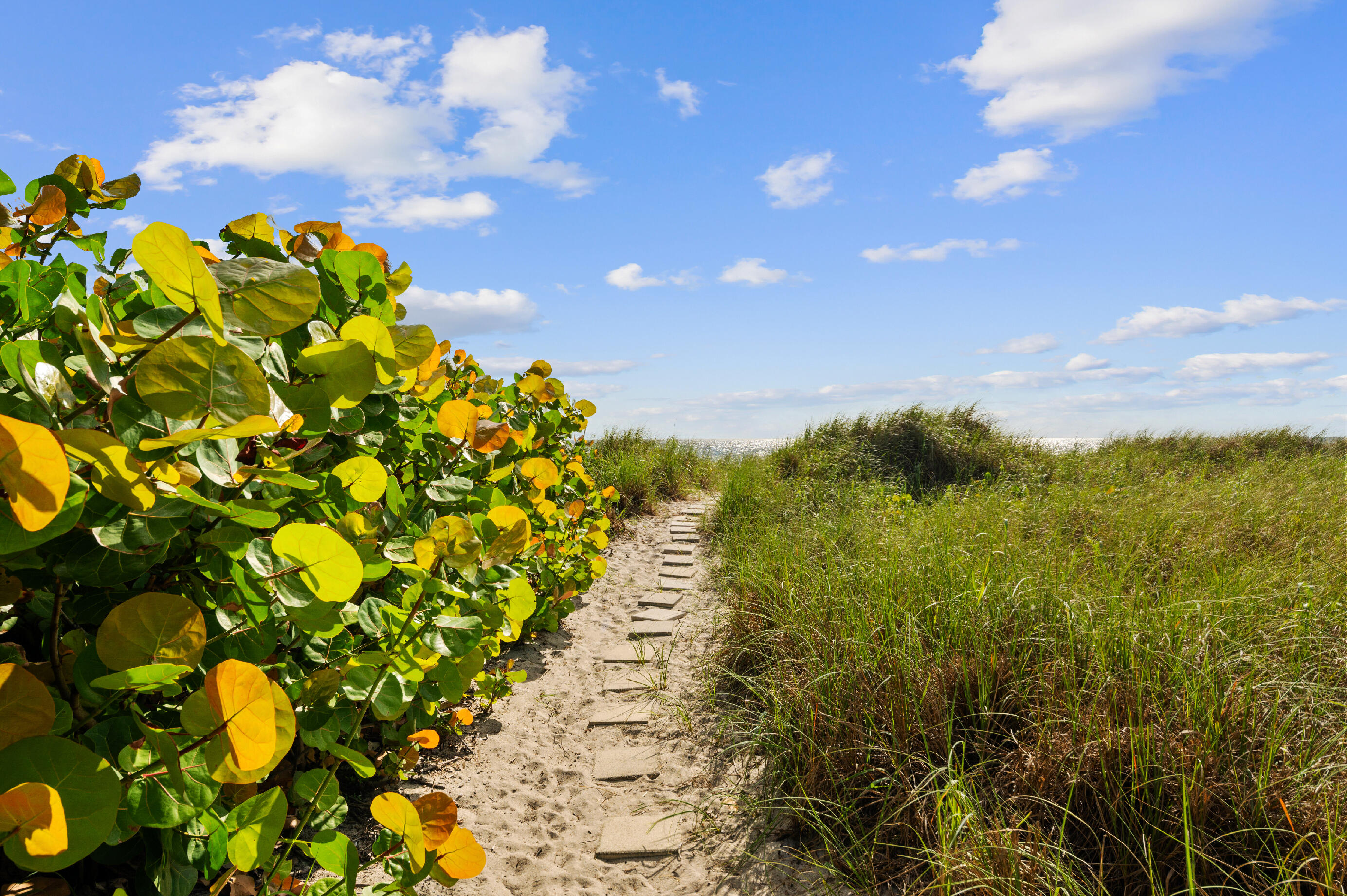 2200 S Ocean Boulevard 707, Delray Beach Unit: 707