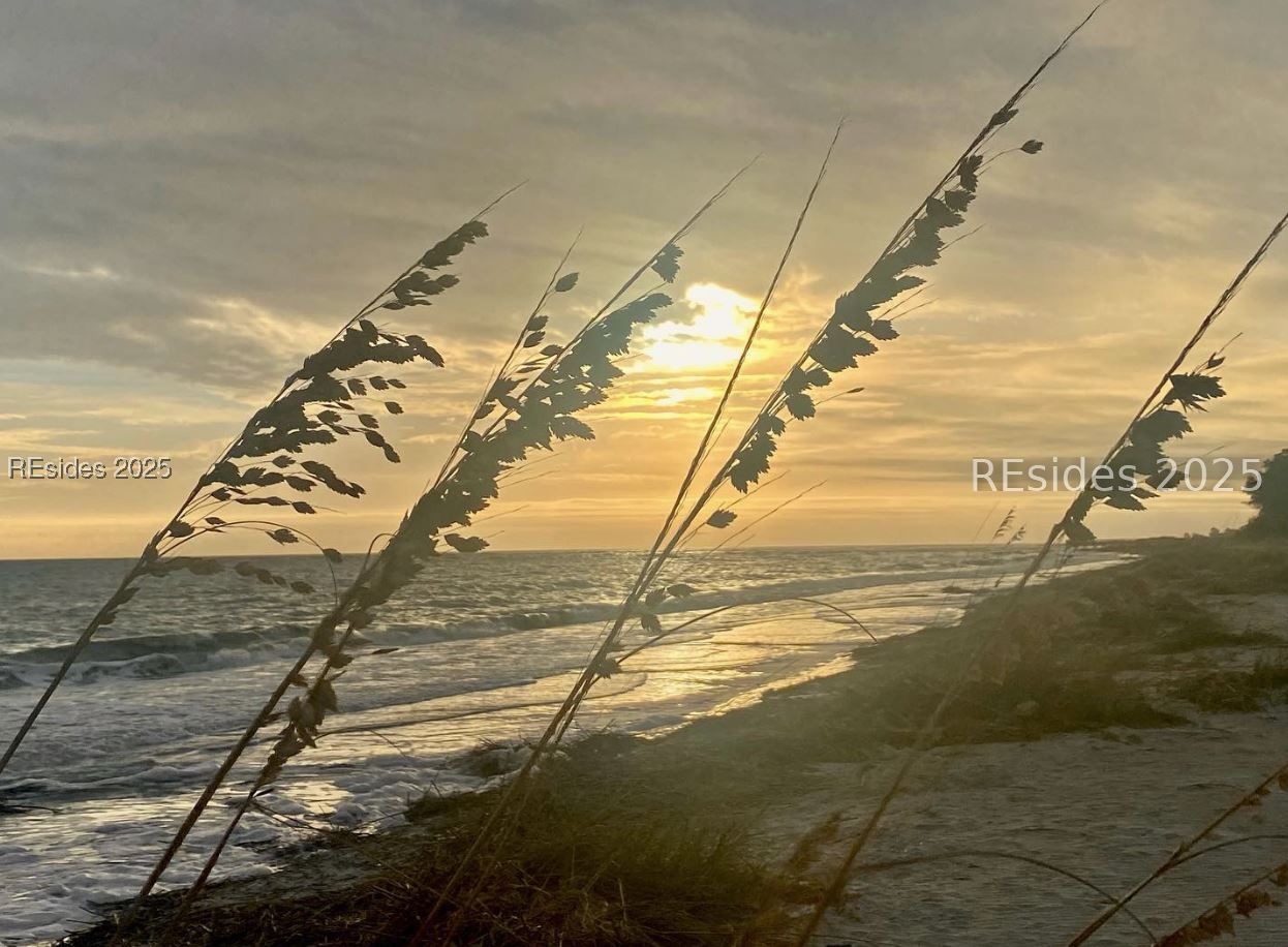 239 Beach City Road Unit: 2110