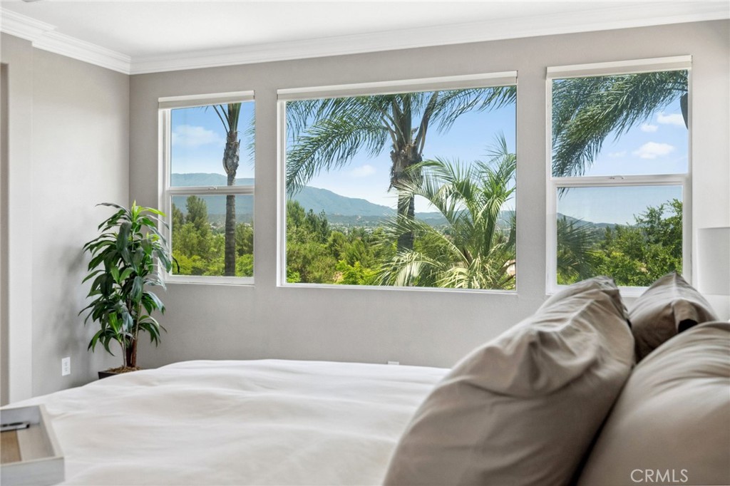 32223 Calle Balareza