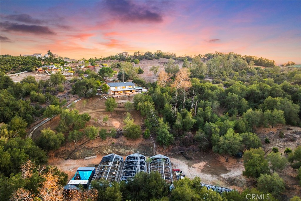 44310 Calle Bernardo