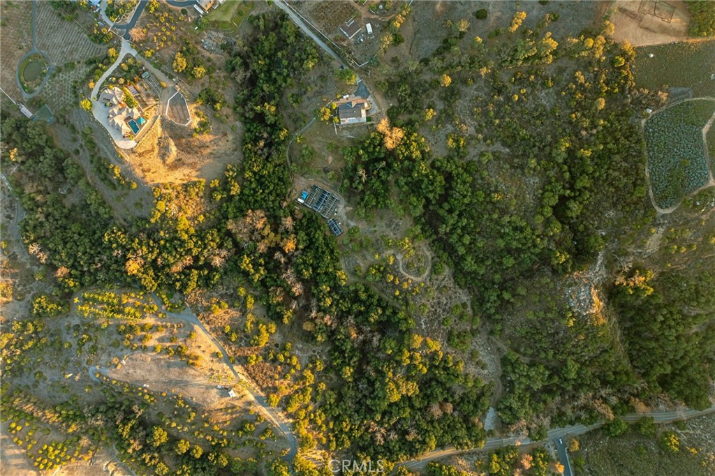 44310 Calle Bernardo