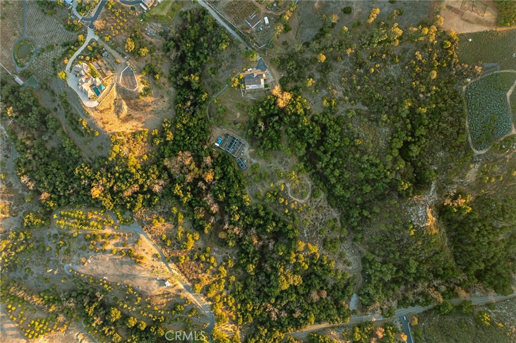 44310 Calle Bernardo