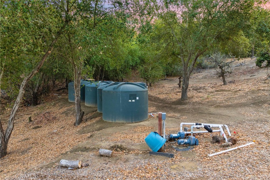 44310 Calle Bernardo