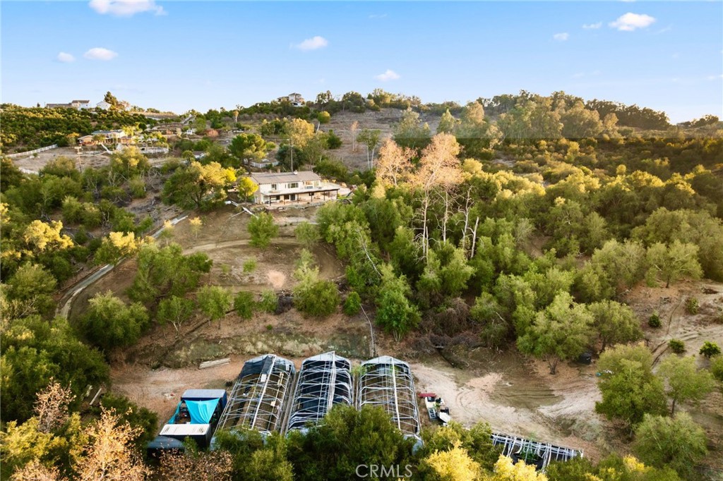 44310 Calle Bernardo