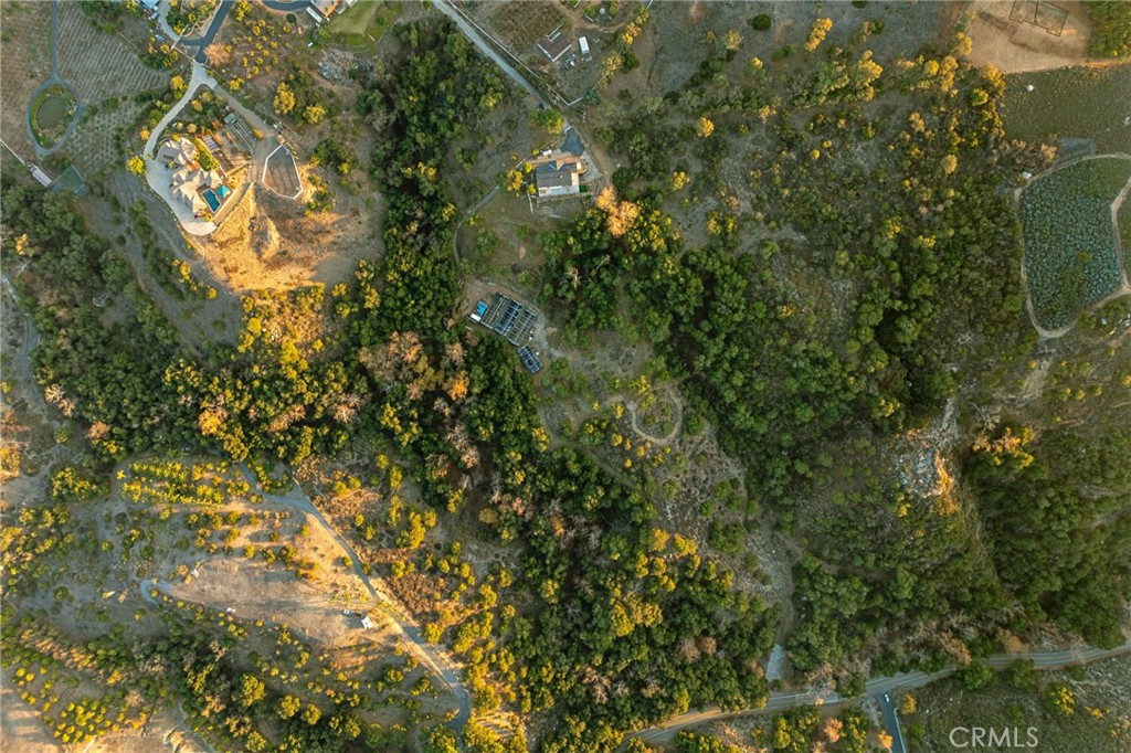 44310 Calle Bernardo