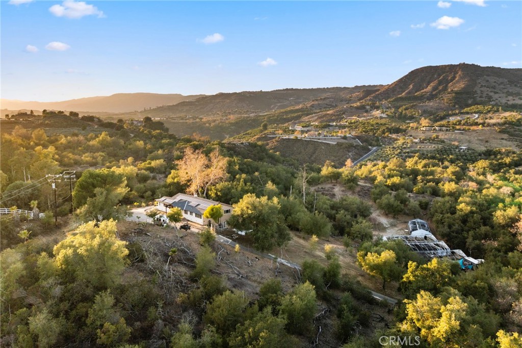 44310 Calle Bernardo