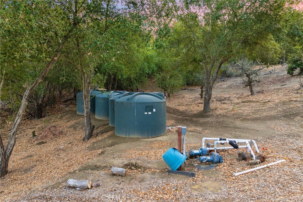 44310 Calle Bernardo