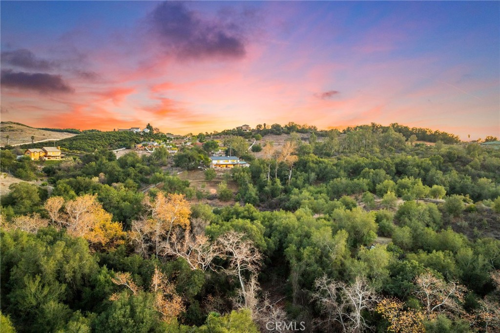 44310 Calle Bernardo