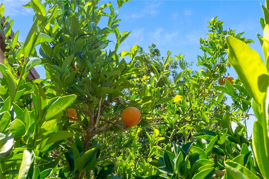 23012 Teil Glen Road