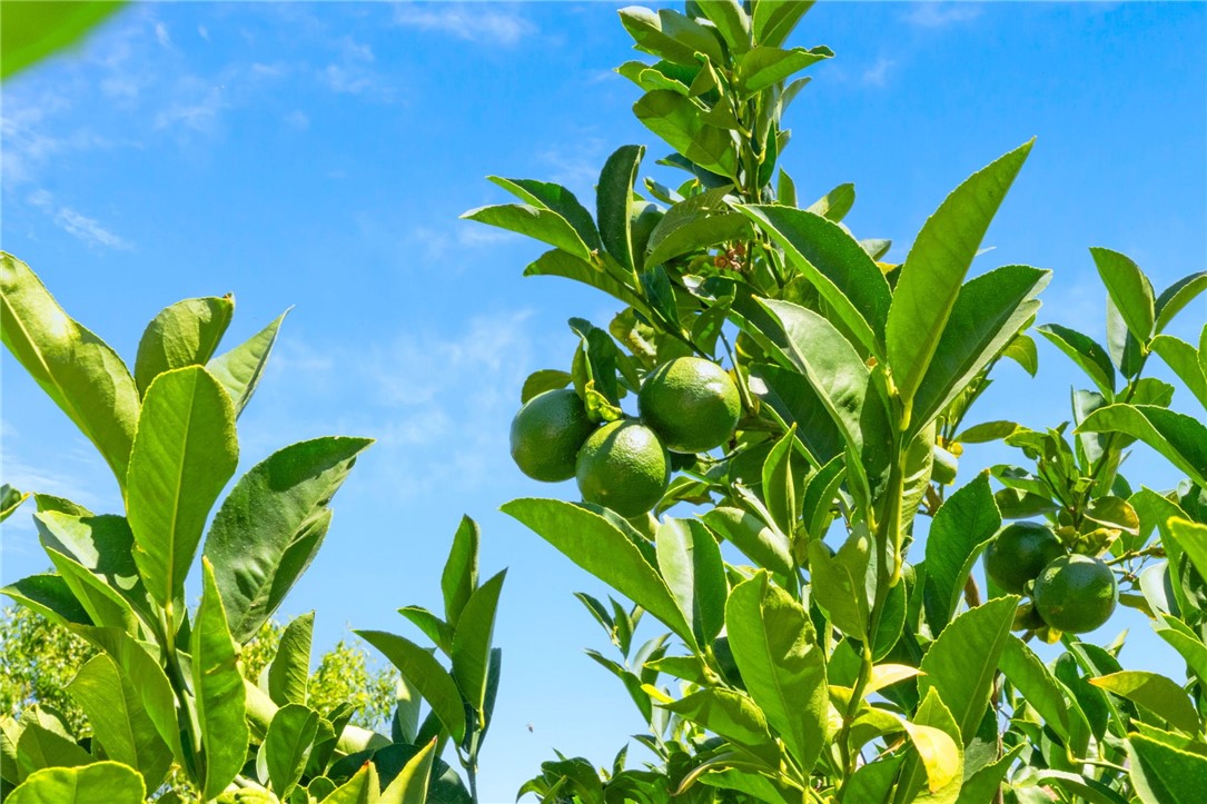 23012 Teil Glen Road