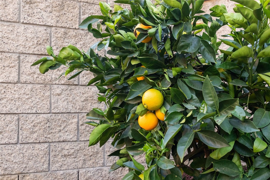 30230 De Portola Road