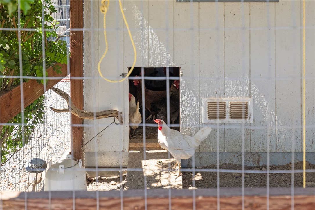 46430 De Portola Road