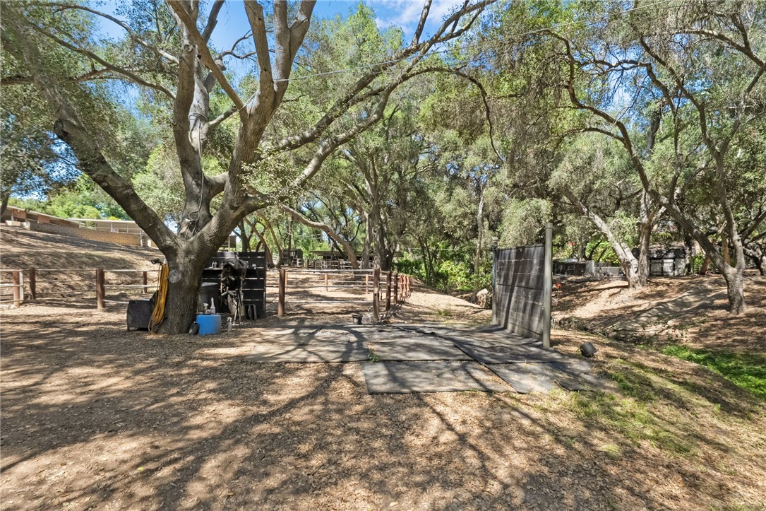 45455 Lorenz Lane