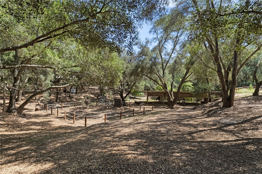 45455 Lorenz Lane