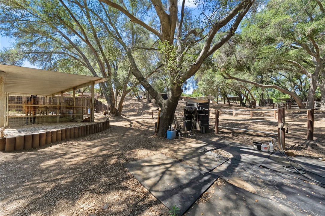 45455 Lorenz Lane