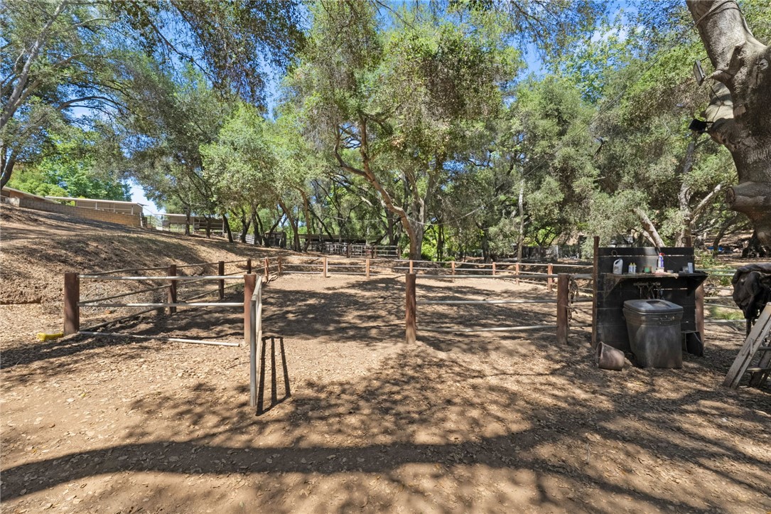 45455 Lorenz Lane