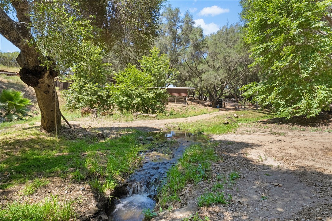 45455 Lorenz Lane