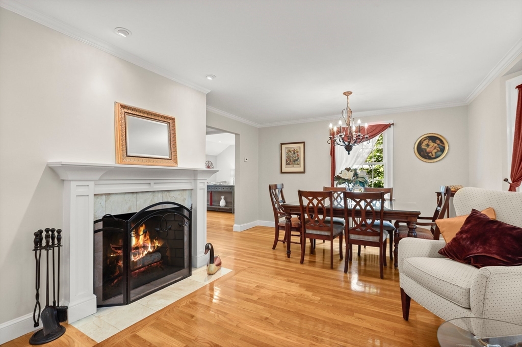 15 Frederick Dr