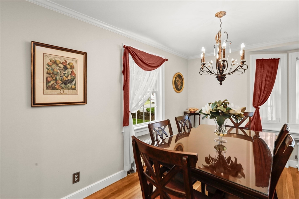 15 Frederick Dr