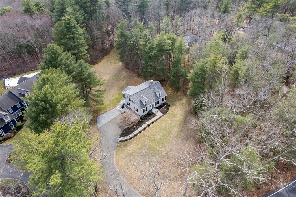 49 Woodland St