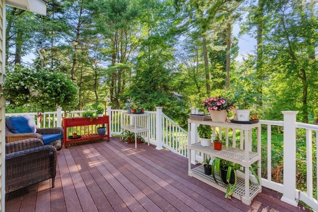 30 Stanhope Dr