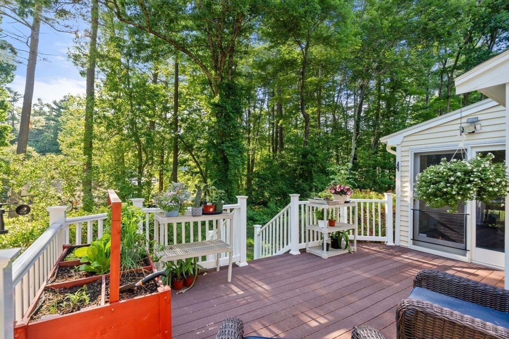30 Stanhope Dr