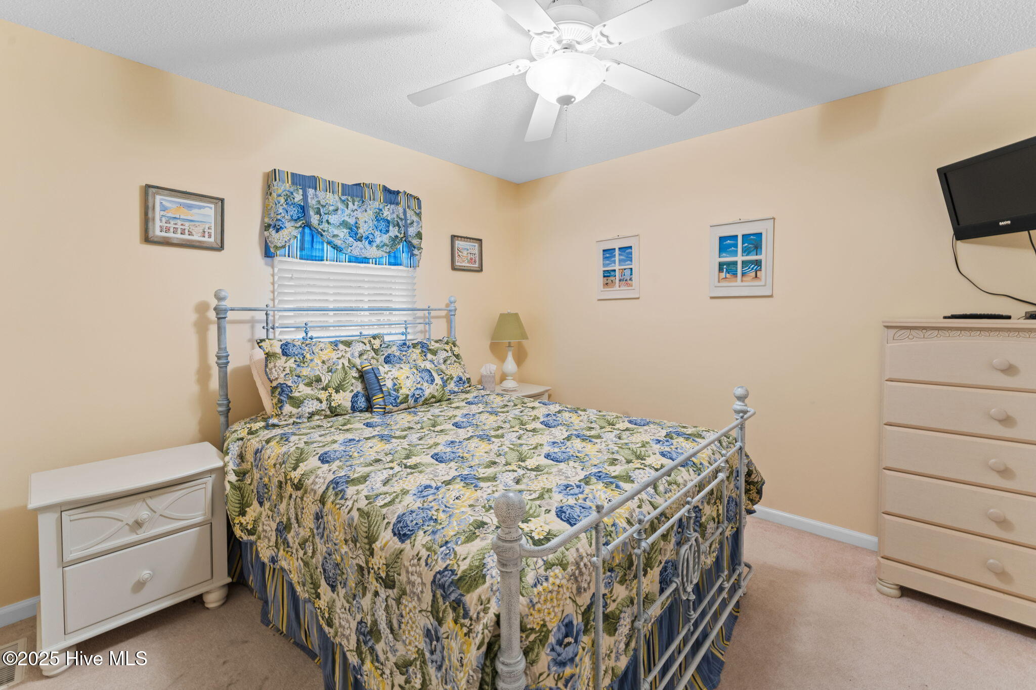 207 Baroney Place Drive