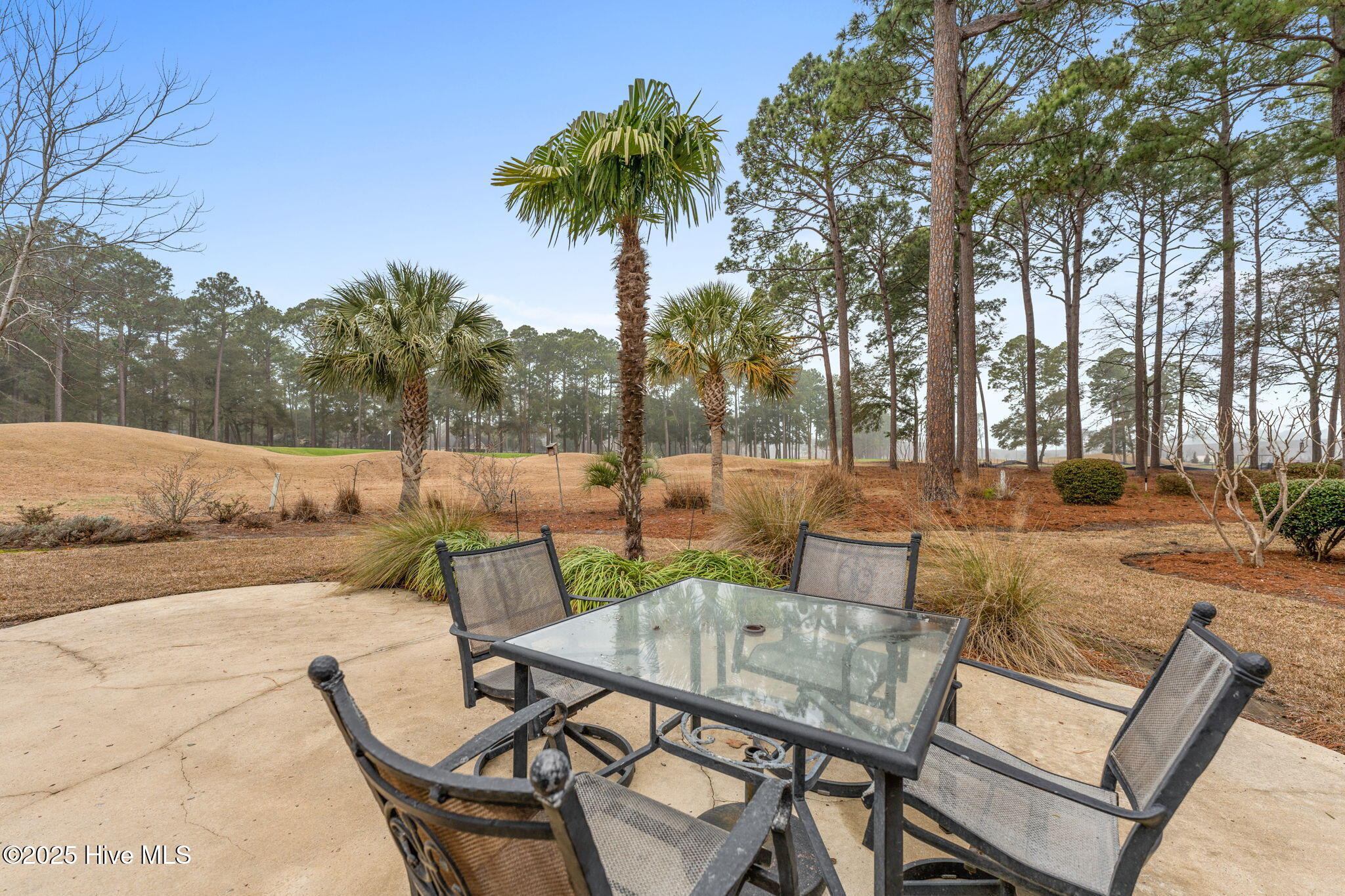 207 Baroney Place Drive