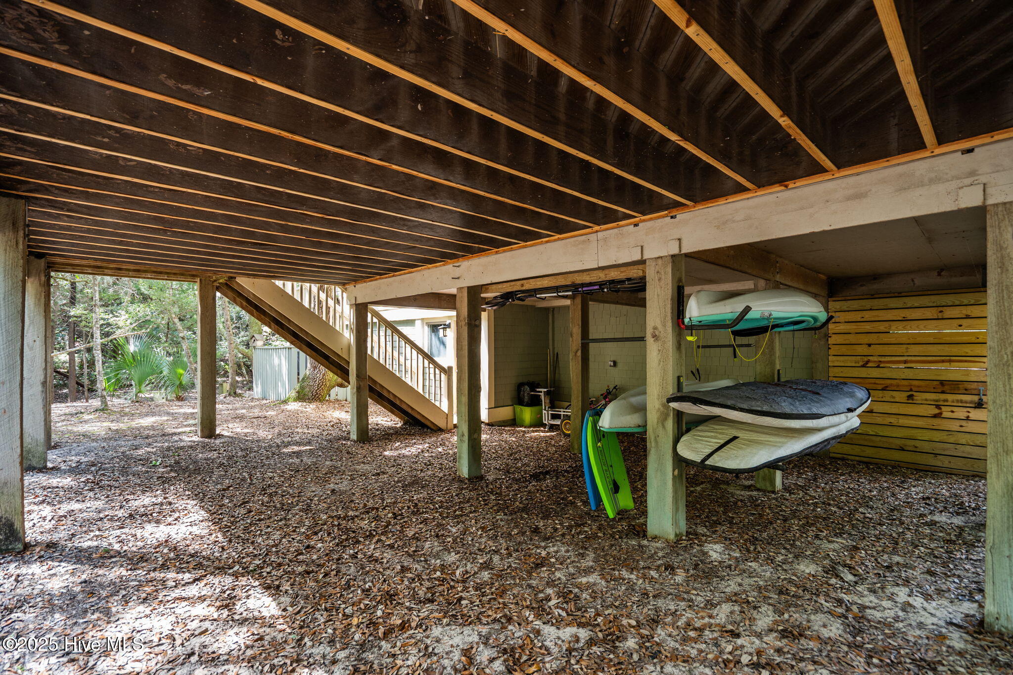 30 Three Flipper Trail