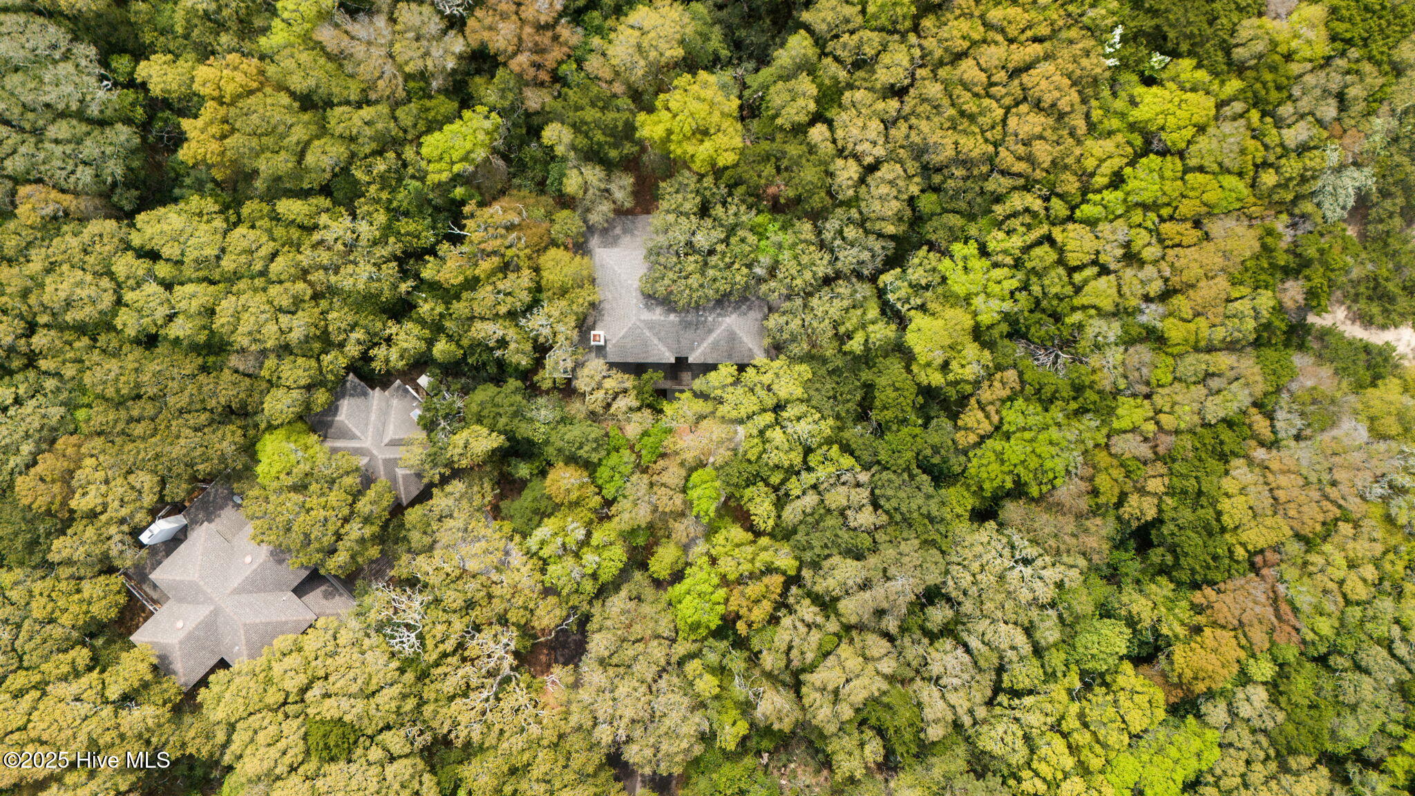 30 Three Flipper Trail