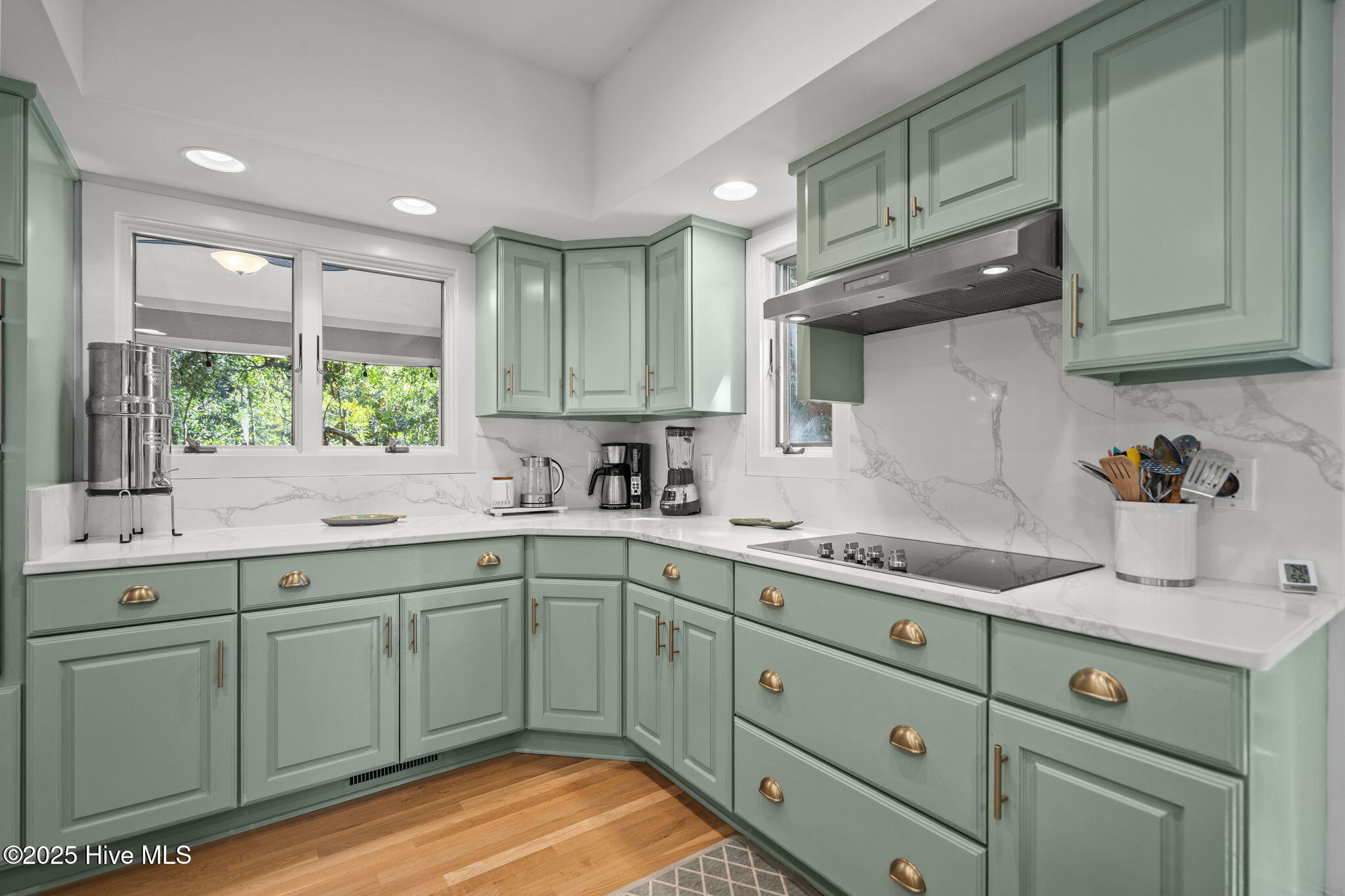 30 Three Flipper Trail