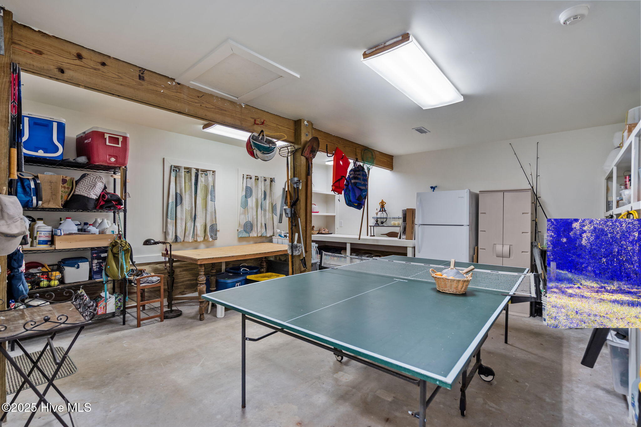 30 Three Flipper Trail