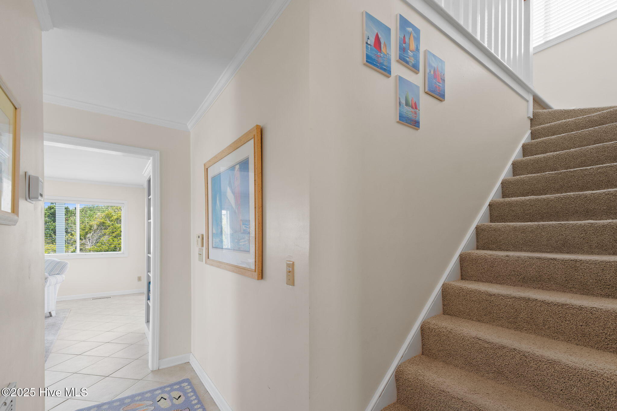 6 Coots Court