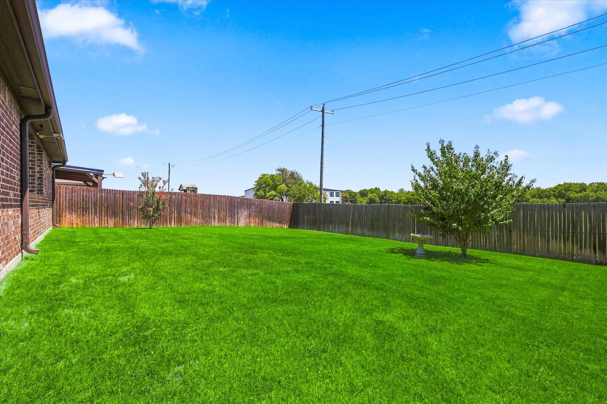 217 White Tail Lane
