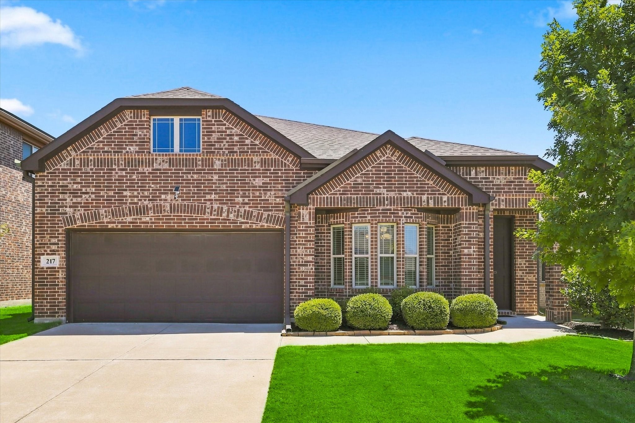 217 White Tail Lane