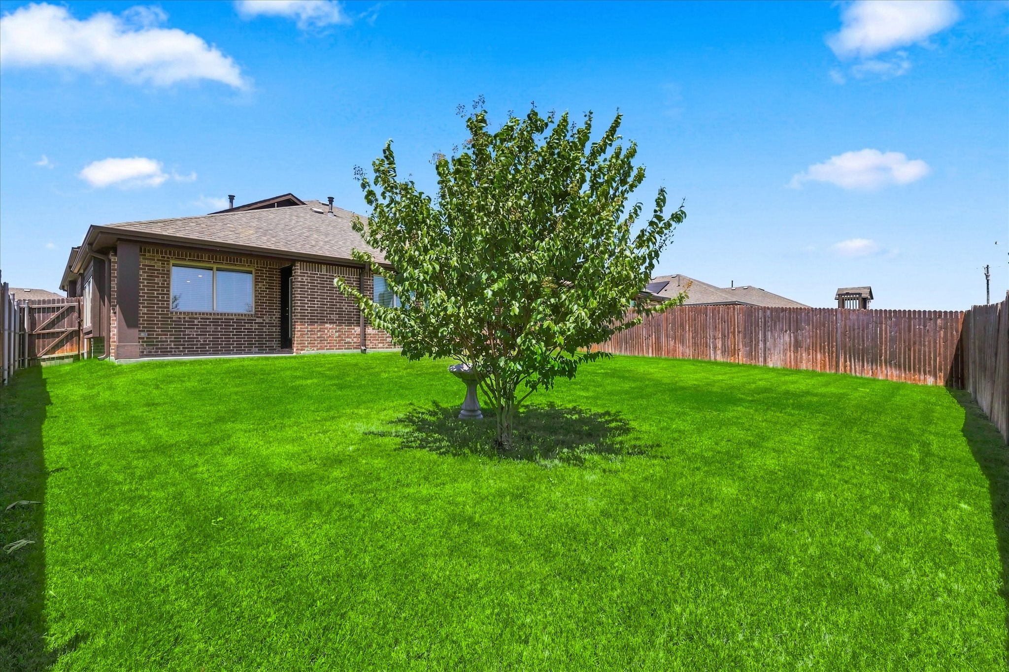 217 White Tail Lane