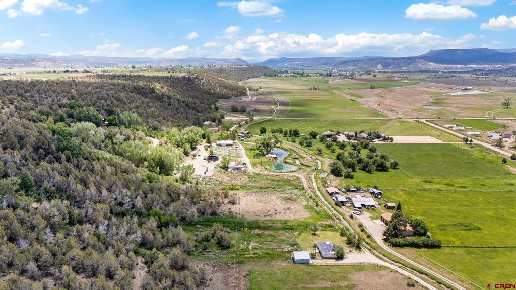 1088 County Road 214